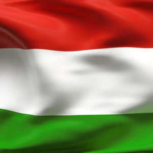 traducere maghiara, traducere maghiara romana